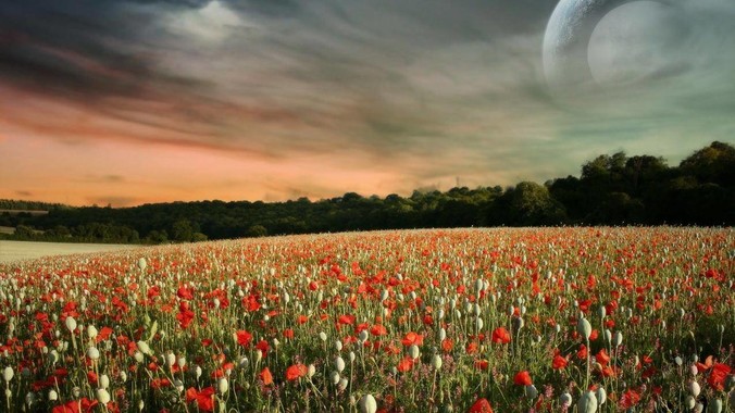 为什么用 electron 开发的桌面应用那么多？